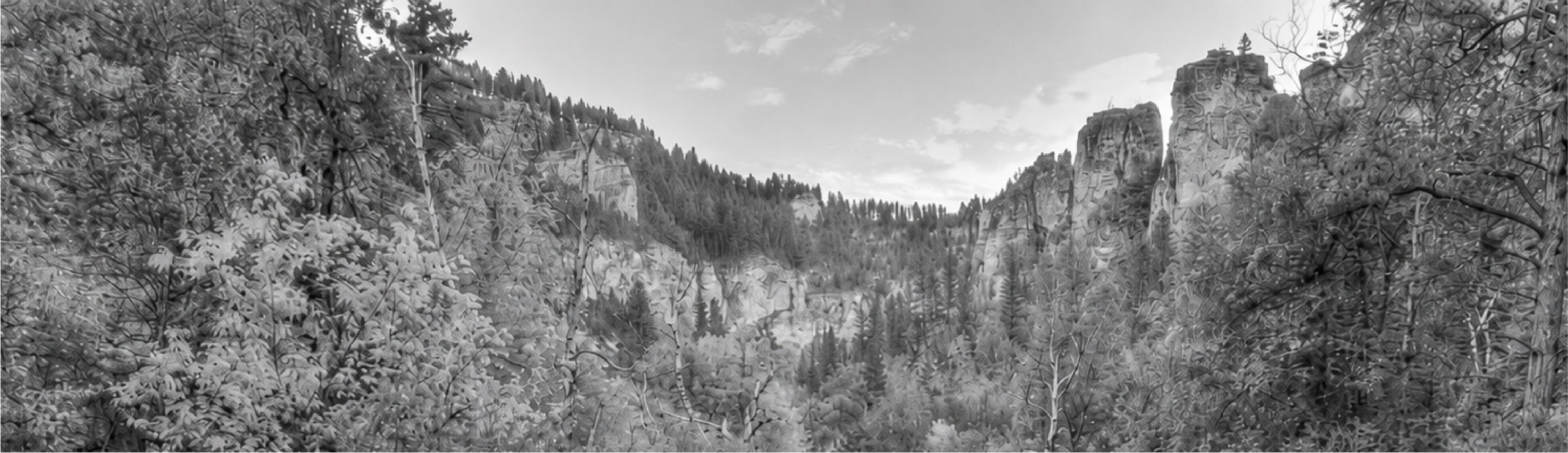 canyoncropp